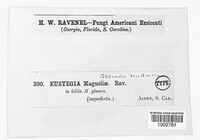 Image Associated With the Occurrence